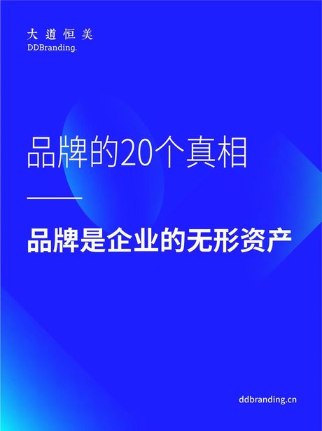 品牌形象论，品牌形象论——如何打造公司无形资产