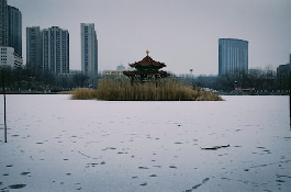 草原情哥哥乌兰图雅：让世界品尝呼伦贝尔的美食