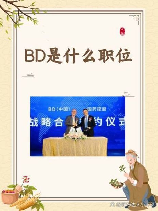 bd是什么，BD是什么？